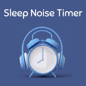 Sleep Noise Timer