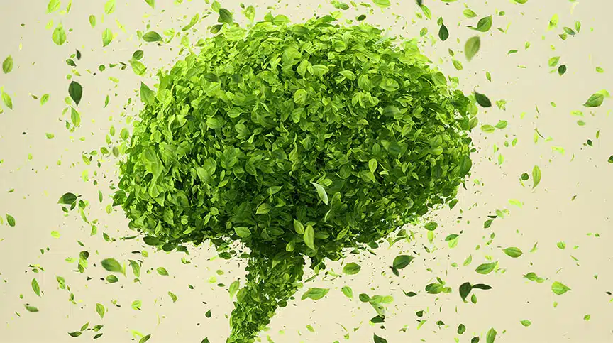 The Real Key to an Innovative Organization: Continuous Innovation