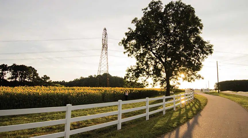 golden-leaf-scholars-program