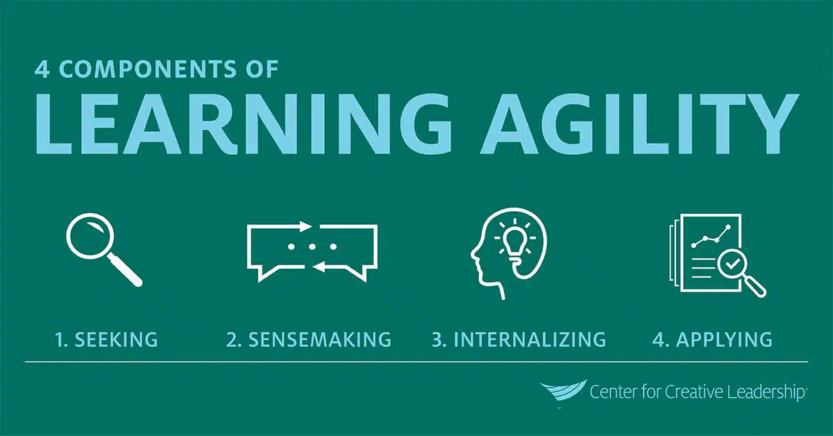 Infographic: 4 Components of Learning Agility for High Potentials