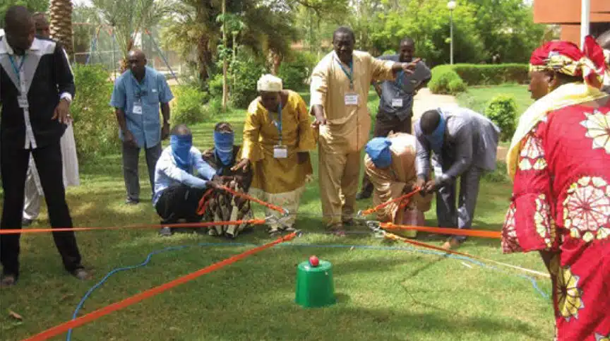 McKnight Foundation Collaborative Crop Research Program participants working together at a team building exercise.