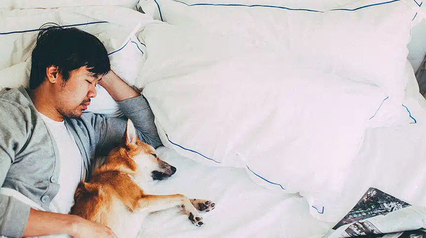 8 Leadership Practices to Optimize Your Sleep and Productivity