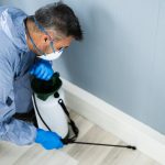 Pest Control Services: Your Partner in Pest Management