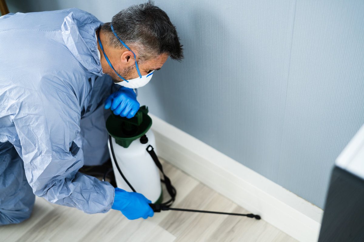 Pest Control Services: Your Partner in Pest Management