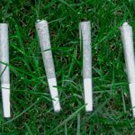 Delta 8 THC Pre Rolls A Guide for First-Time Users