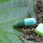 Why White Malay Kratom is Gaining Popularity